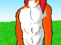 a_1236470750639_Fox_in_a_field_higher_rez.jpg